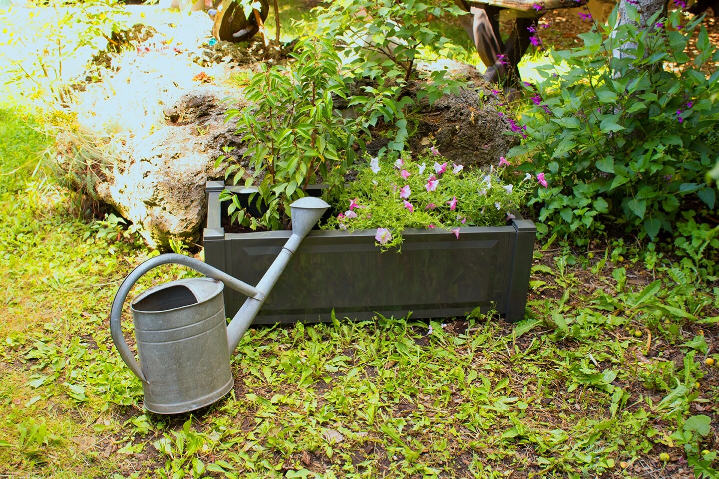 Pflanzkasten Rechteckig, Anthrazit â Bild 4