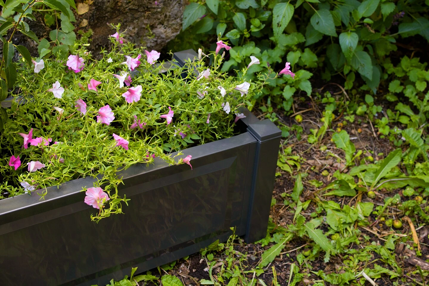 Pflanzkasten Rechteckig, Anthrazit â Bild 6