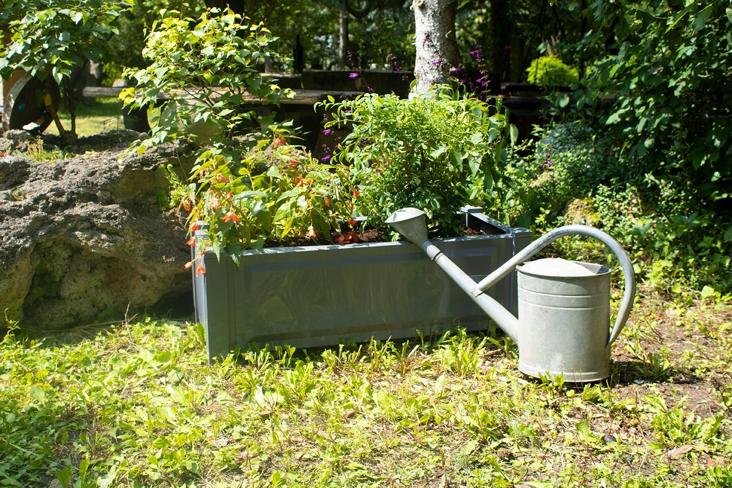 Pflanzkasten Rechteckig, Grau â Bild 4