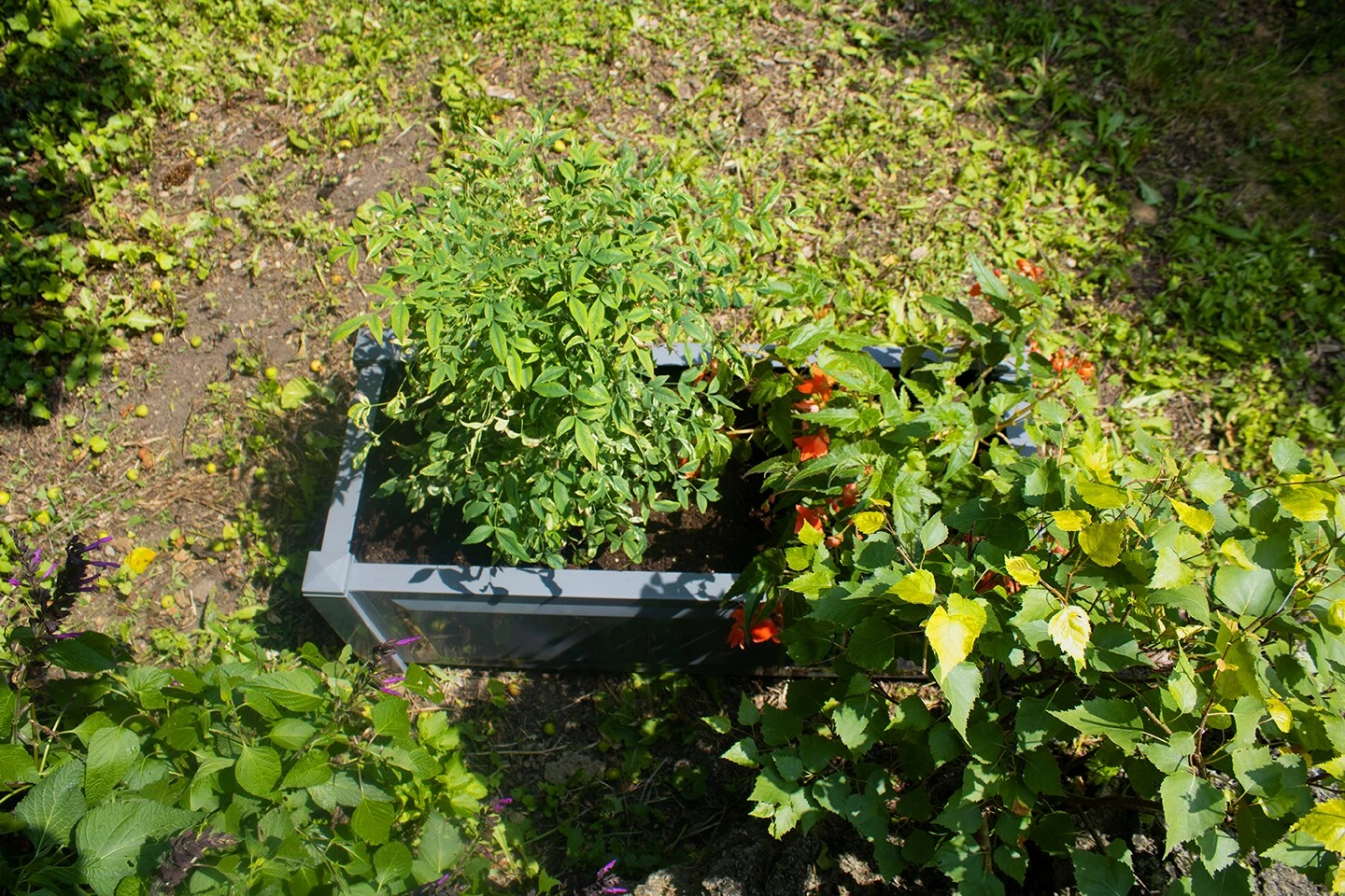 Pflanzkasten Rechteckig, Grau â Bild 5