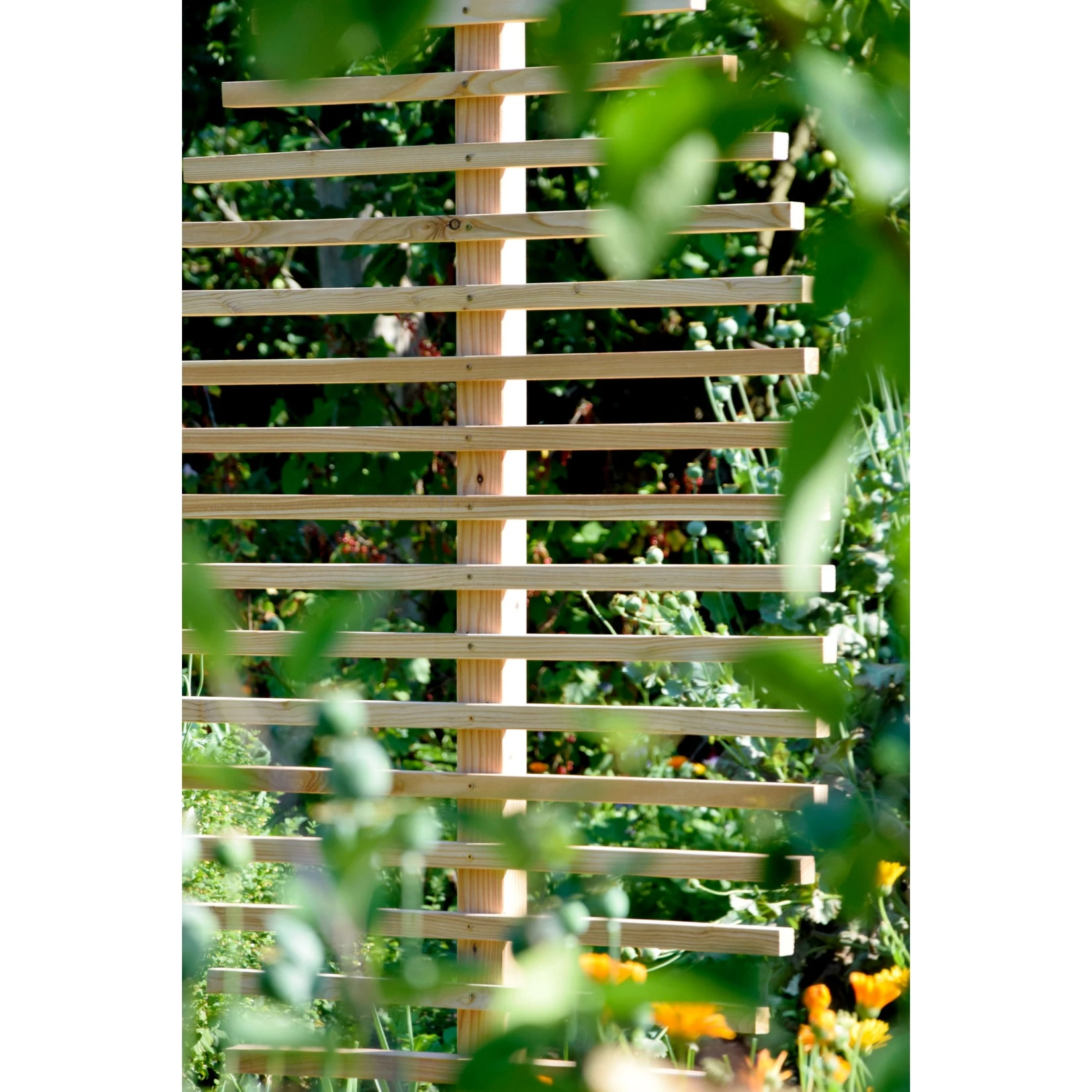 Dobar 58211e Große Rankhilfe In Blattform "fagus" – Bild 3