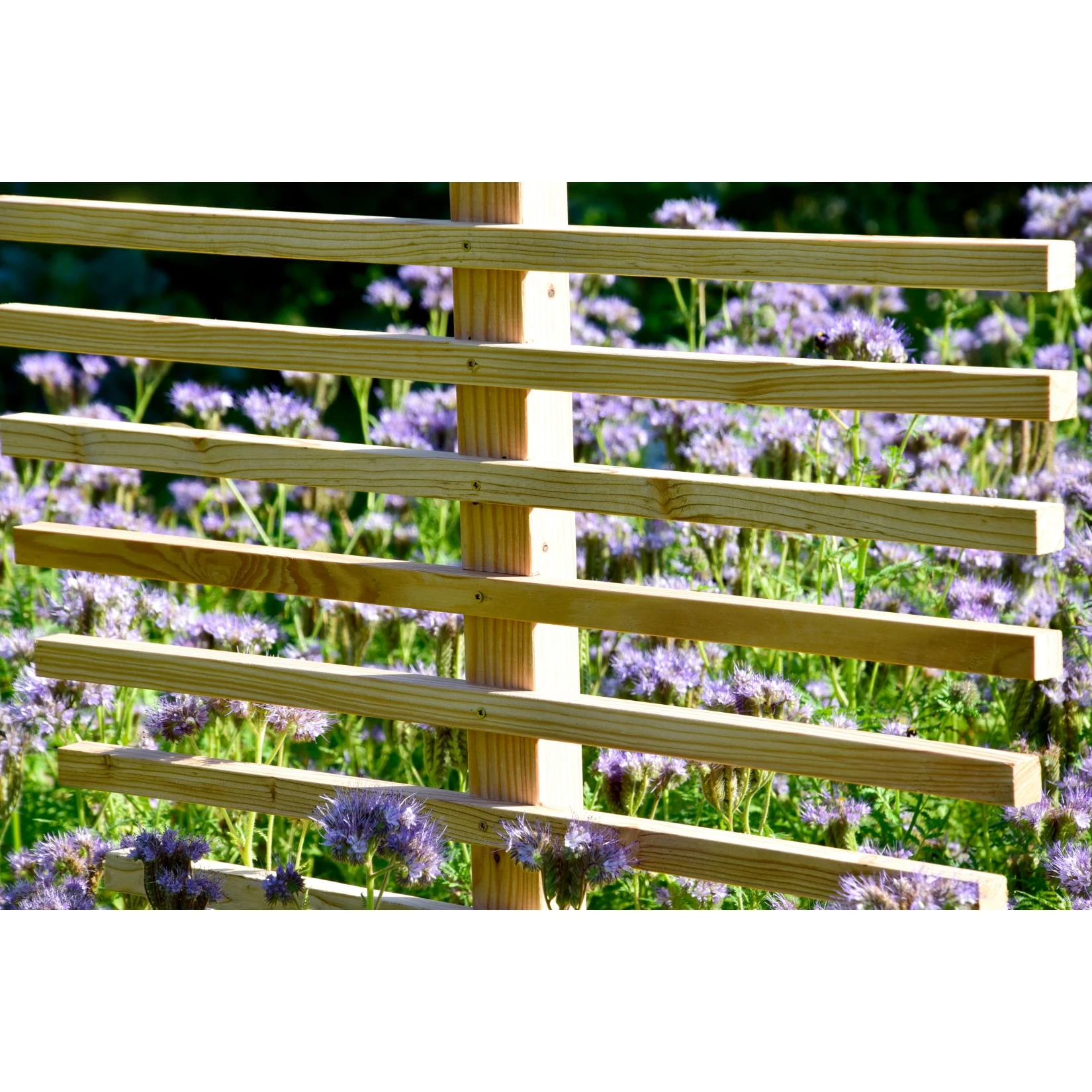 Dobar 58211e Große Rankhilfe In Blattform "fagus" – Bild 4