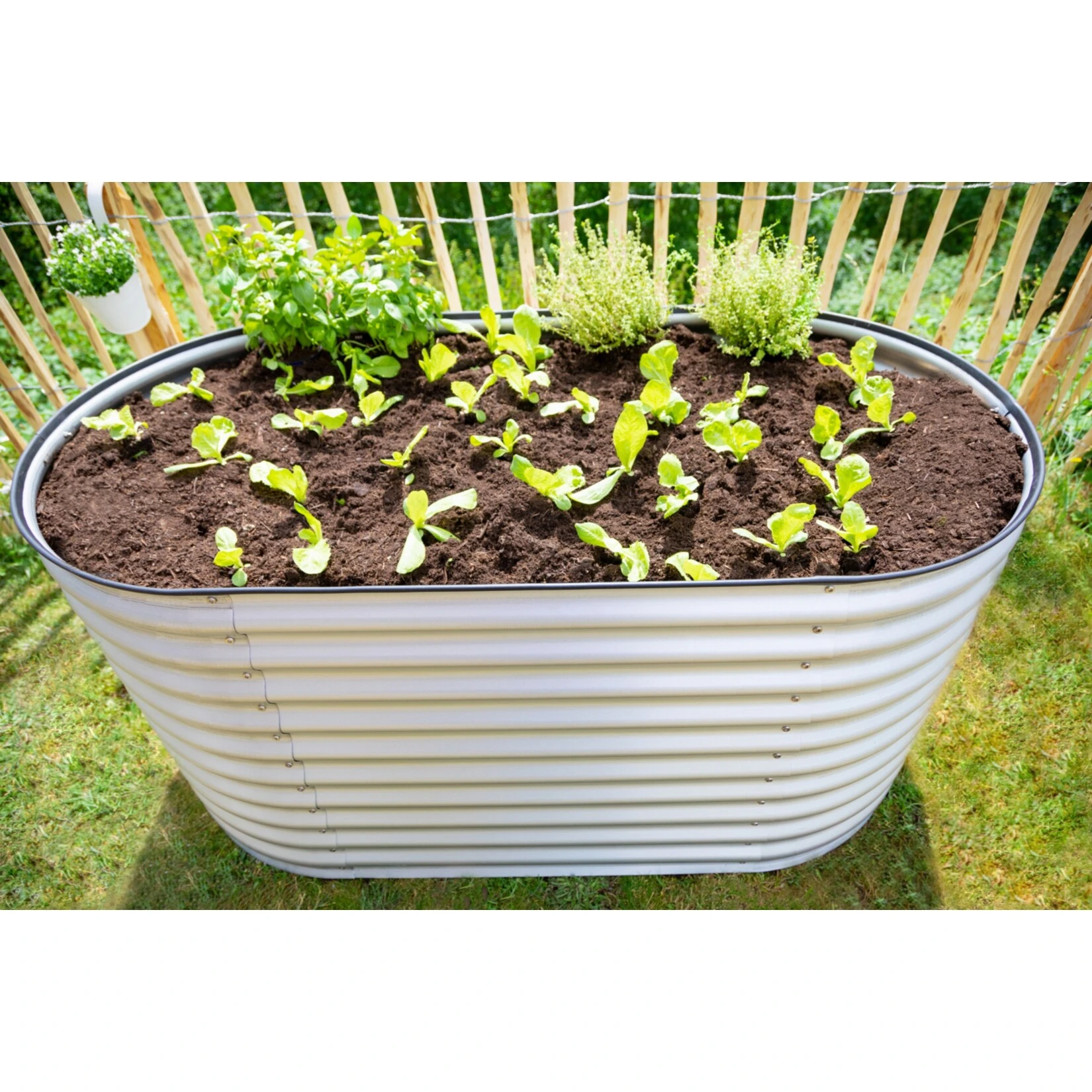 Westmann Metall Hochbeet Gartenbeet Grow Faster Silber 160x80x82 Cm 5 Westmann Metall Hochbeet Gartenbeet Grow Faster Silber 160x80x82 Cm – Bild 5