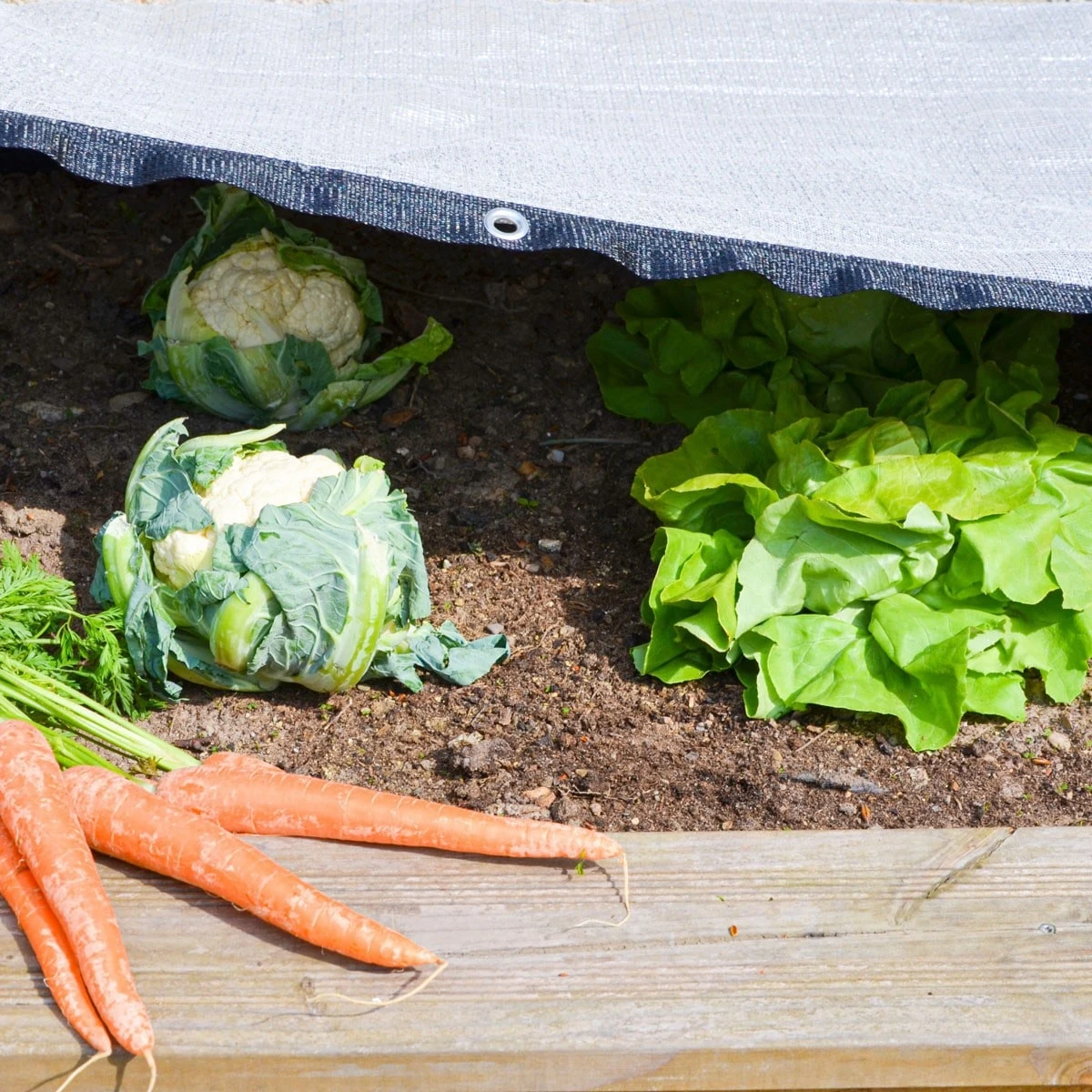 99% Schattennetz 3x4m Alu Sonnensegel Sonnenschutz Netz Hitzeschutz Für Auto – Bild 3