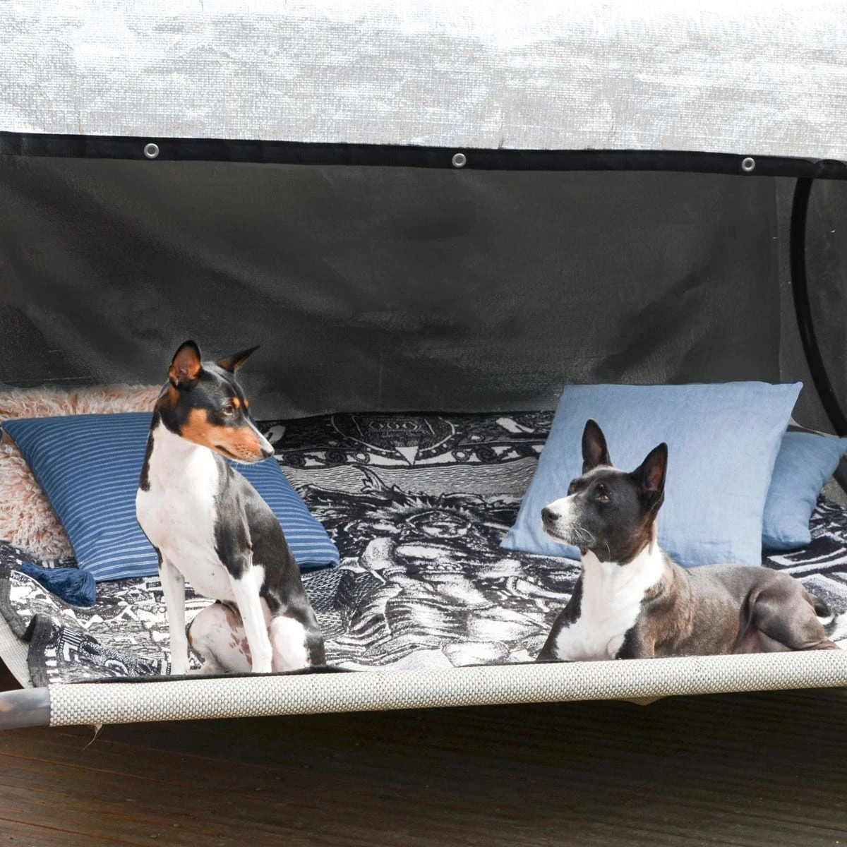 99% Schattennetz 3x4m Alu Sonnensegel Sonnenschutz Netz Hitzeschutz Für Auto – Bild 6