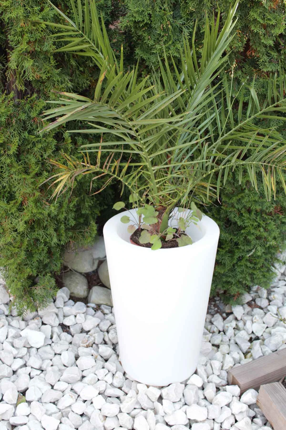 Pflanzkübel Pflanzsäule GlowTub Round H: 60cm Beleuchtet 10613 – Bild 3