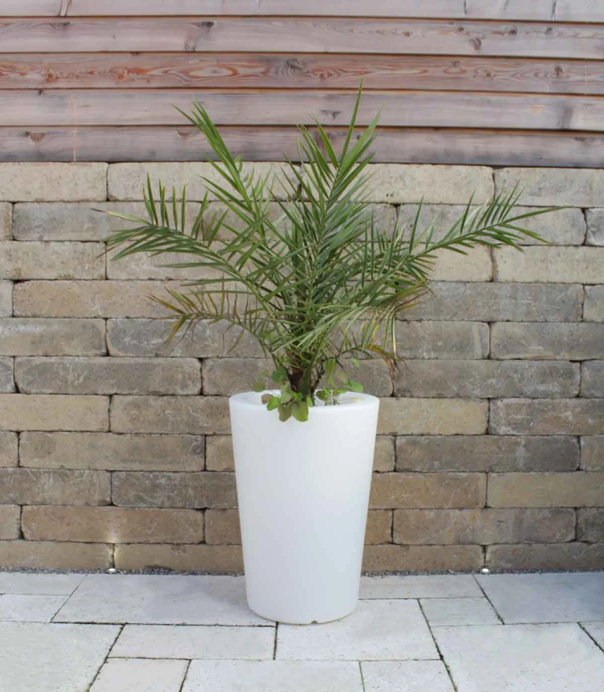 Pflanzkübel Pflanzsäule GlowTub Round H: 60cm Beleuchtet 10613 – Bild 4