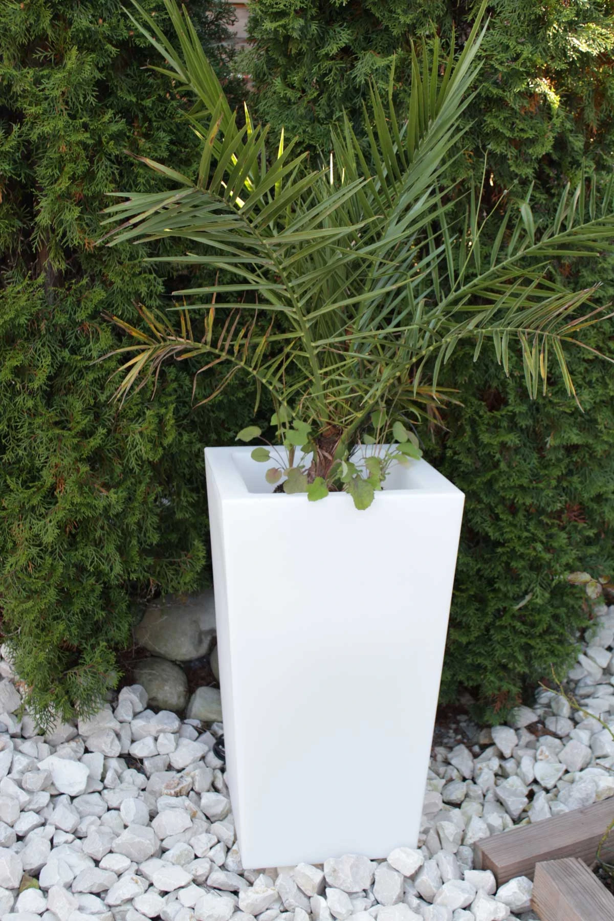 Pflanzkübel Pflanzsäule GlowTub Square H: 70cm Beleuchtet 10617 – Bild 2