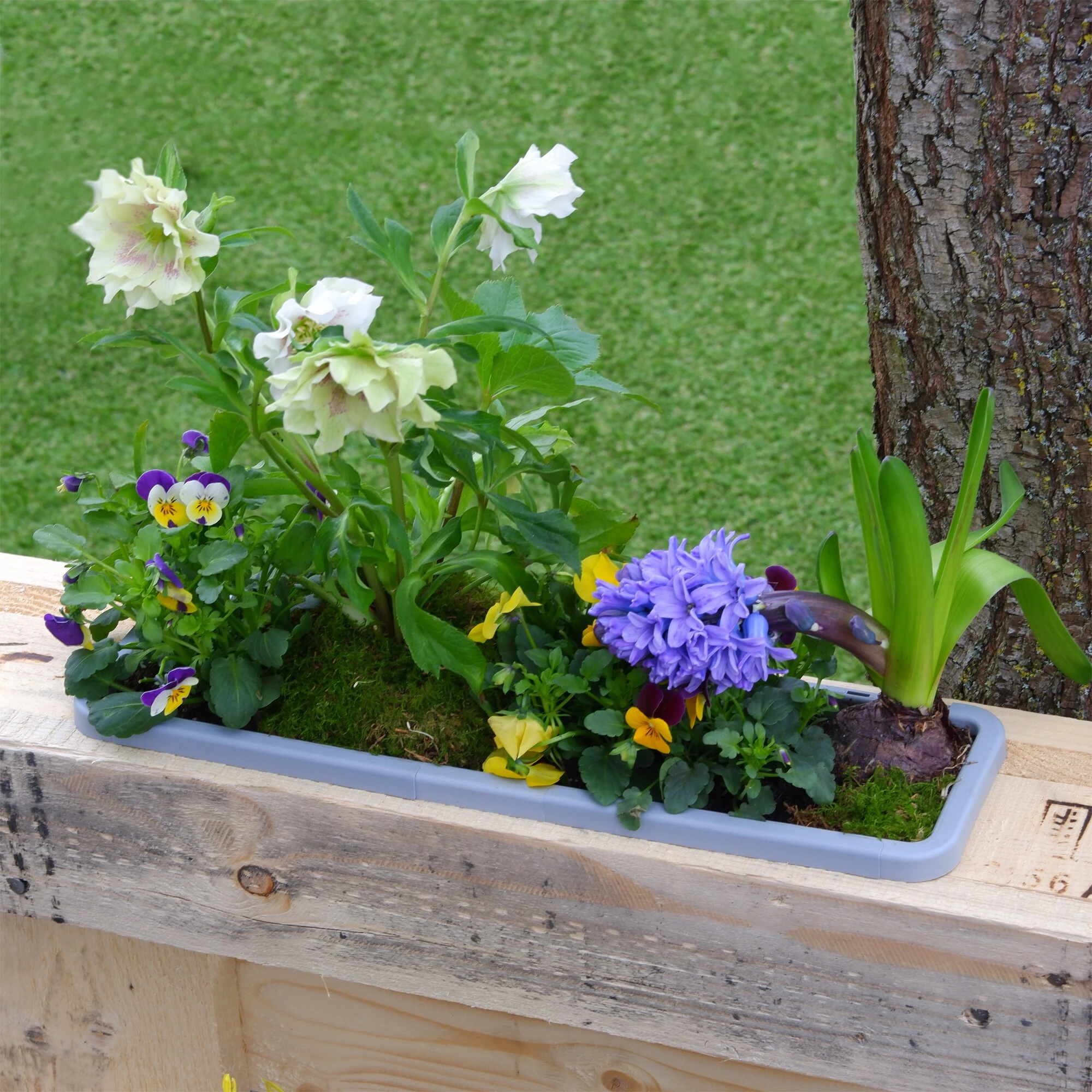 GreenLife Blumenkasten / Kräuterbox 10 Stück, Gelb, Komplett 6 GreenLife Blumenkasten / Kräuterbox 10 Stück, Gelb, Komplett – Bild 6